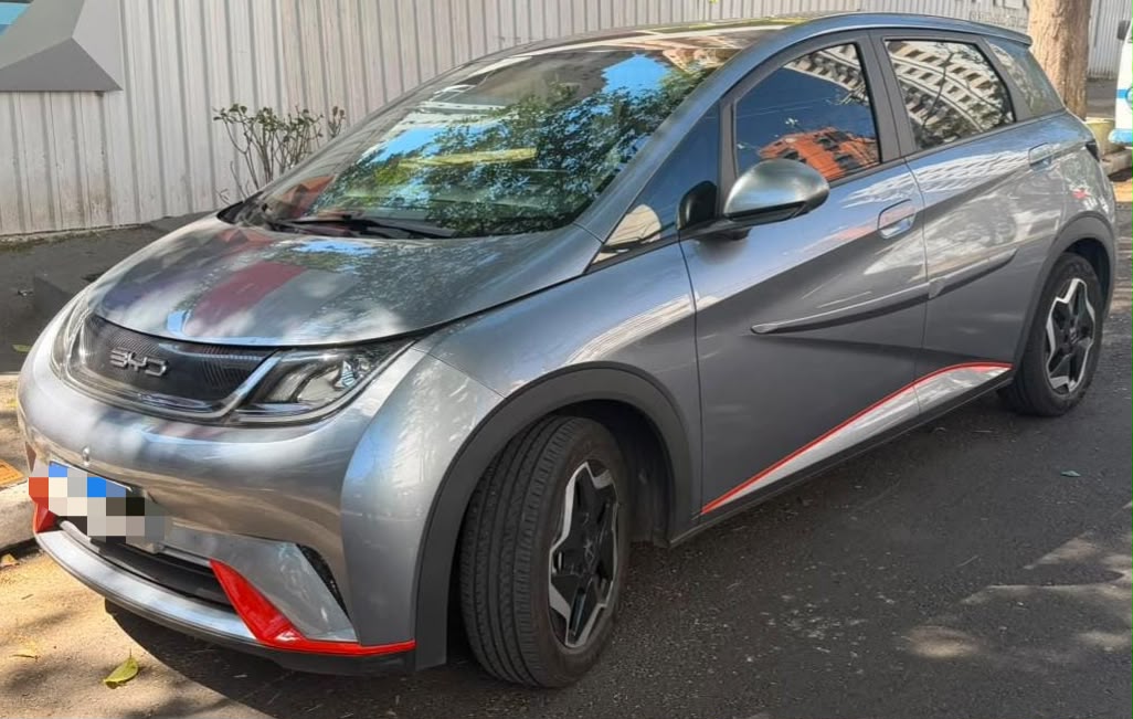 BYD Dolphin GS